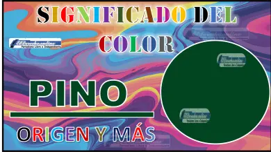 El color Pino, significado, origen y más