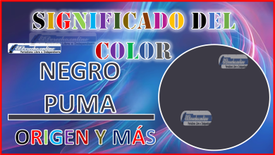 El color Negro Puma, significado, origen y más