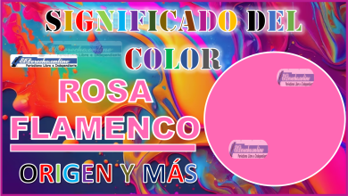 El color Rosa Flamenco, significado, origen y más
