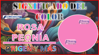 El color Rosa Peonía, significado, origen y más