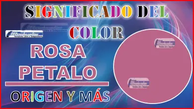 El color Rosa Pétalo, significado, origen y más