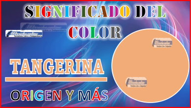 El color Tangerina, significado, origen y más