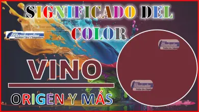 El color Vino, significado, origen y más