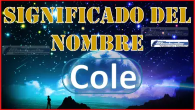 Significado del nombre Cole, su origen y más