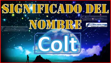 Significado del nombre Colt, su origen y más