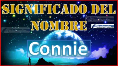 Significado del nombre Connie, su origen y más