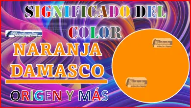 El color naranja damasco, significado, origen y más