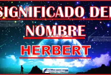 Significado del nombre Herbert, su origen y más