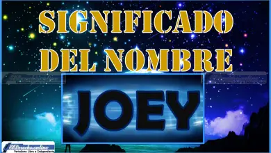 Significado del nombre Joey, su origen y más