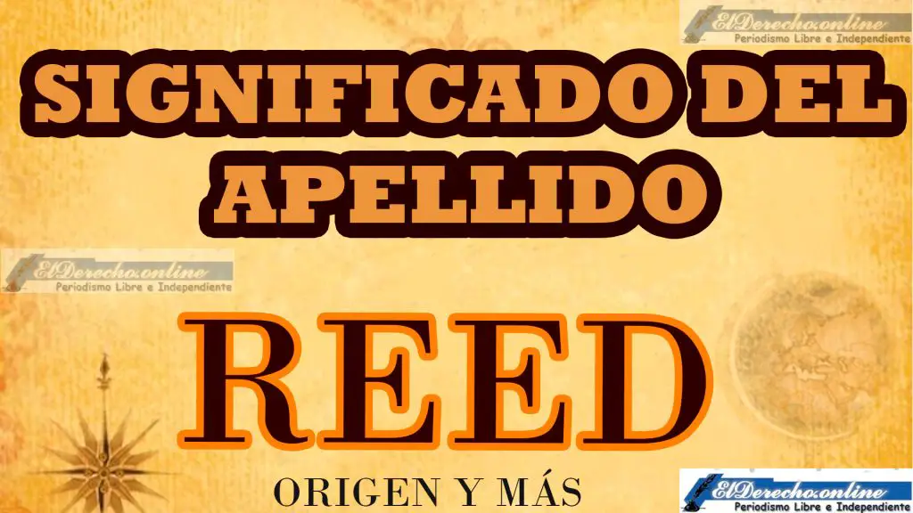 Significado del apellido Reed, Origen y más