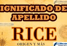 Significado del apellido Rice, Origen y más