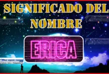 Significado del nombre Erica, su origen y más