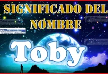 Significado del nombre Toby, su origen y más
