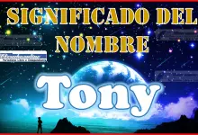 Significado del nombre Tony, su origen y más