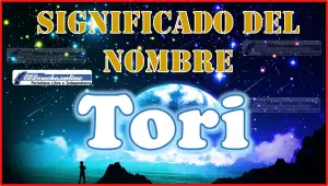 Significado del nombre Tori, su origen y más