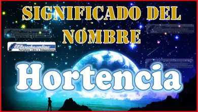 Significado del nombre Hortencia, su origen y más