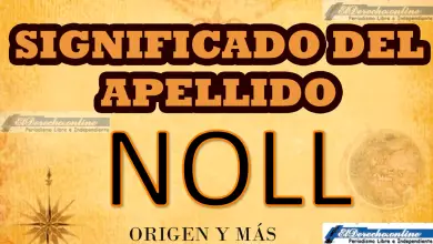 Significado del apellido Noll, Origen y más