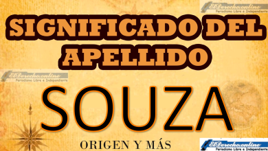 Significado del apellido Souza, Origen y más