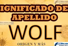 Significado del apellido Wolf, Origen y más