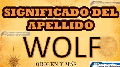 Significado del apellido Wolf, Origen y más