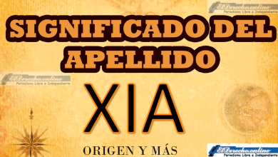 Significado del apellido Xia, Origen y más