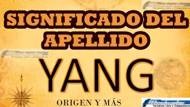 Significado del apellido Yang, Origen y más