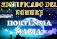 Significado del nombre Hortensia Maria: su origen y más