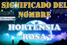 Significado del nombre Hortensia Rosa: su origen y más