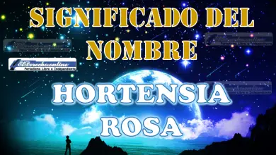 Significado del nombre Hortensia Rosa: su origen y más