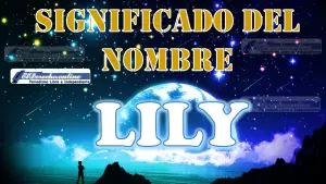 Significado del nombre Lily: su origen y más