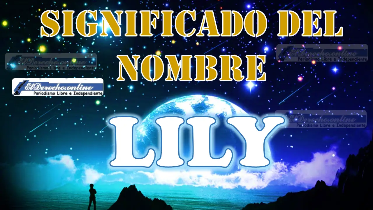 Significado del nombre Lily: su origen y más