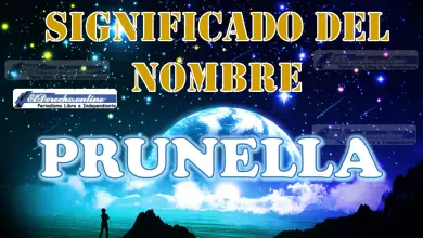 Significado del nombre Prunella, su origen y más