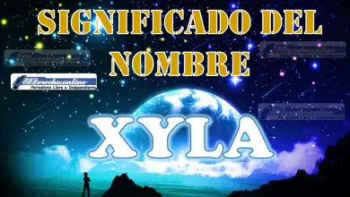 Significado del nombre Xyla, su origen y más