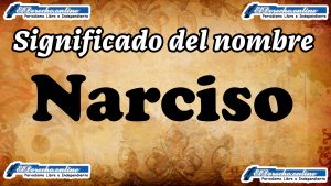 Significado del nombre Narciso: su origen y más