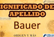 Significado del apellido Bauer, Origen y más