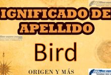 Significado del apellido Bird, Origen y más