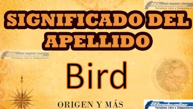 Significado del apellido Bird, Origen y más