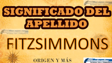 Significado del apellido Fitzsimmons, Origen y más