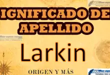 Significado del apellido Larkin, Origen y más