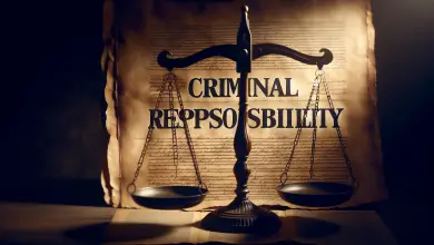 Responsabilidad penal