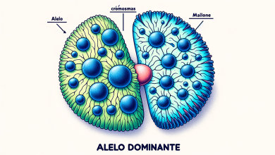 Alelo dominante