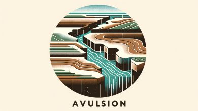 Avulsion