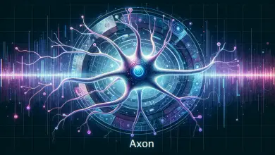 Axon