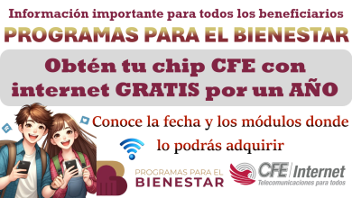 Adquiere gratis tu chip de la CFE con internet por un año | Estos son los requisitos