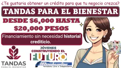 $6,000 hasta $20,000 pesos | Tandas para el bienestar: Conoce los requisitos y el procedimiento