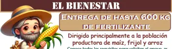 Programa Fertilizantes para el Bienestar entrega hasta 600 kilogramos de fertilizante de forma gratuita | Conoce los requisitos para solicitar este apoyo