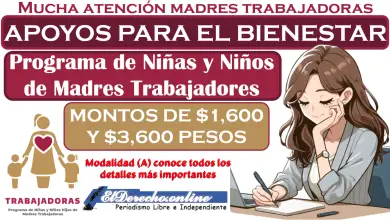 Programa de Apoyo para el Bienestar de las Niñas y Niños, Hijos de Madres Trabajadoras: Conoce todos los detalles