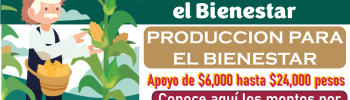 Producción para el bienestar | Montos por productor: conoce el monto que te corresponde