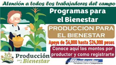 Producción para el bienestar | Montos por productor: conoce el monto que te corresponde