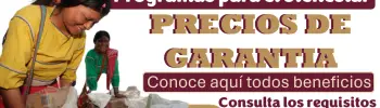 ¿Ya conoces el Programa Precios de Garantía? Consulta los requisitos